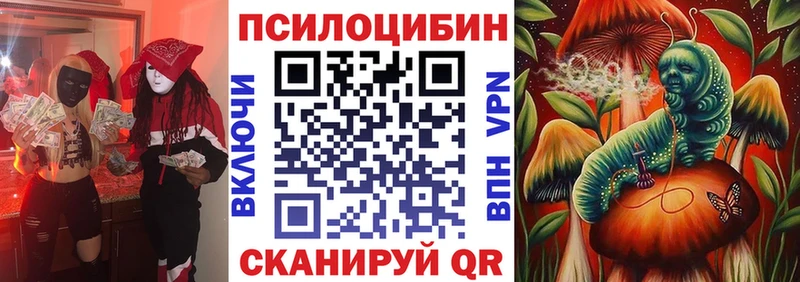 Купить закладки  Новороссийск  Галлюциногенные грибы Magic Shrooms 